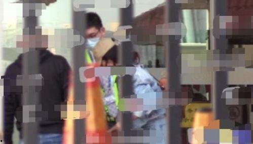 娱乐吃瓜小三,揭秘“吃瓜”小三背后的故事